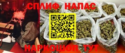 дживик Кингисепп