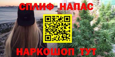 дживик Кингисепп