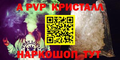 дживик Кингисепп