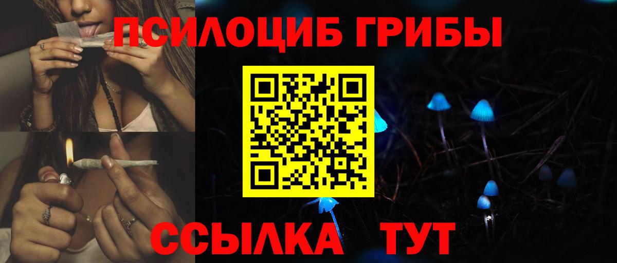 Галлюциногенные грибы Cubensis  Галлюциногенные грибы Magic Shrooms  Вход с VPN  Кувандык 