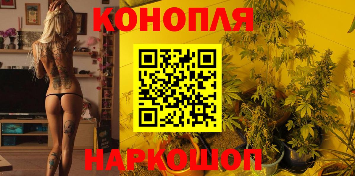 Марихуана планчик  Бошки Шишки Ganja  Кувандык  МАРИХУАНА сатива  Вход с VPN 